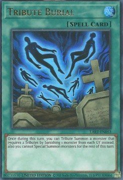 Tribute Burial - Lost Art Promos (Ultra Rare) [LART-053] - Cards Beyond